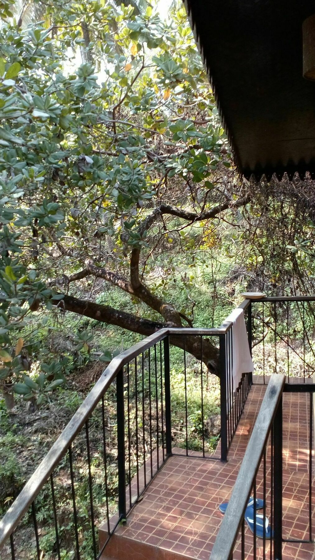 Castle House Palolem Hotel Canacona Bagian luar foto